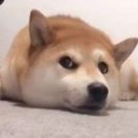 1c10229c689aa45d8316850e237169d7333210a4