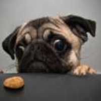 Ac2cc60d32050a6652af1d4ef694ab65780b624f