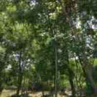 9fde5793a040173632dd9eb78043c08e8df5ceb1