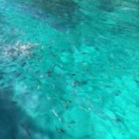 A2c39cbbbea7674fe3f168d2e496c52ff068ff07