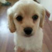 4b4fdb362ac5d4d8d7d952339f11816563506c17