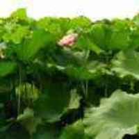 2b53ca6ddd3bbee4a7ce9c295ba8f7fe38344cc7