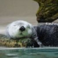 4d05ed05e4d369c1a26e2f8f69f9a1e4b144fe6e