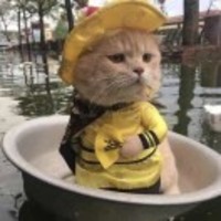 Ed8aa5452a358ae71a5273fc95a30325615ebbb0